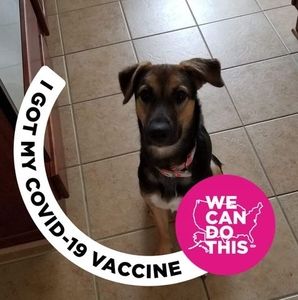 Meet your Posher, Donna